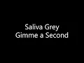 Saliva Grey - Gimme a Second