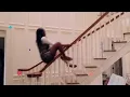 LAFF - World s Funniest s Marathon Promo 2020