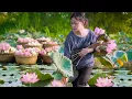 Download Lagu Lotus Harvest Season in a Remote Village, A Glimpse into the Calm \u0026 Graceful Life of the Countryside