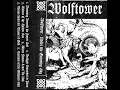 Lagu Wolftower - Under the Gnawing Sky (2025) - 𝘌𝘗