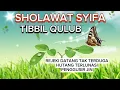 Download Lagu Sholawat Syifa Tibbil Qulub Full 1 jam Non Stop lirik Latin Dan Terjemahan