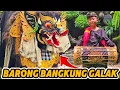 Lagu AKU NGELAWANG BARONG BANGKUNG GALAK SAMA TEMAN TEMAN MEGAMBEL BALI KELILING DESA‼️