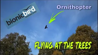 Little Robot Blackbird Flies At The Trees MetaBird From Bionic Bird Ornithopters 