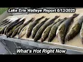 Lake Erie Walleye Report - Erie PA
