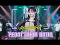 Download Lagu PEDOT  LAHIR BATIN - INTAN ANDREA - SERA