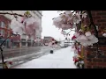 Snow Day in Salisbury 2018