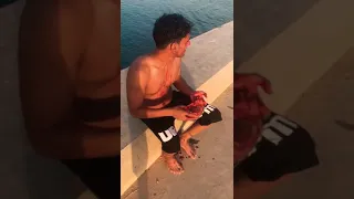 مقلب دم  مقلب دم