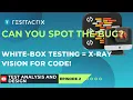 White-Box Testing Unlocked Master Statement Branch Coverage
