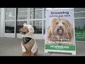 PET SUPPLIES PLUS GROOMING Hendersonville TN