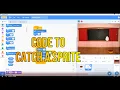 Scratch Project How to make catch game in scratch