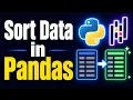 How to SORT DATA in PANDAS Beginner Tutorial