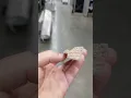 picture frame molding at Lowes