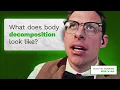 What are the stages of body decomposition after embalming Mortician Victor M Sweeney explains