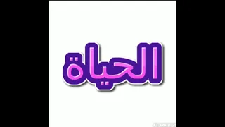 حالات حب للعشاق تنفستك اداء صوتي فاطمة غريب حب حالات 2023 واتساب عبارات حب استوريات  حالات حب للعشاق تنفستك اداء صوتي فاطمة غريب حب حالات 2023 واتساب عبارات حب استوريات