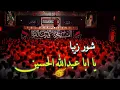 Download Lagu محمد رضا خامه چیان، مسبب جنونمی، شب اول محرم 1404 دیوانگان حسین کاشان