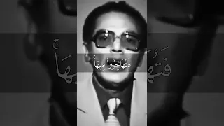 الم تكن أرض الله واسعة فتهاجروا فيها 