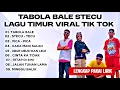 Download Lagu VIRAL LAGU POP TIMUR 2025  TABOLA BALE - STECU STECU - PICA PICA - KAKA MAIN SALAH