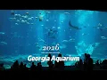 A Day at Georgia Aquarium Food Shows Views