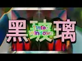 洪嘉豪(Hung Kaho) - 黑玻璃(Tinted Windows) [chungdaiung KTV #007]
