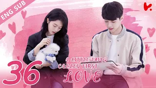 ENG VER A Little Thing Called First Love EP36 Starring Lai Guanlin Zhao Jinmai 