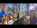 This is what the giant mushrooms of Hidalgo look like - Documentary