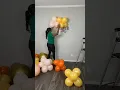 Temu Balloon Garland Kit