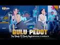Download Lagu GULU PEDOT (Aring Aring Mbakar Gedang Nganggo geni) - ICHA YOLANDA FT. SHERLY ANGEL NIRWANA COMEBACK