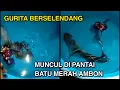 Download Lagu Virale octopus in sjaal verschijnt op Batu Merah Beach, Ambon