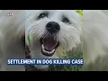 City of Sturgeon former police officer agree to pay 500K to owner of dog that officer shot and