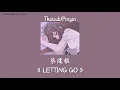 Download Lagu (Thaisub/Pinyin) 蔡健雅 -《LETTING GO》