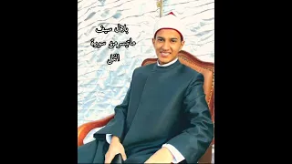 القارئ بلال سيف   ماتيسر من سورة النمل   جمال وعظمة الصوت     حتى إذا أتوا على وادي النمل       دندنها