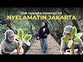 Download Lagu GAK NYANGKA INI DI JAKARTA! BISA NANAM POHON \u0026 SEKALIGUS HEALING | Elina Story #5