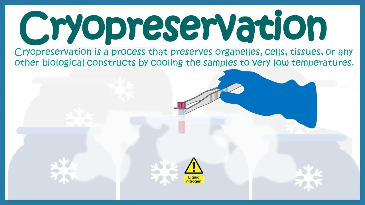 Cryopreservation | application and mechanism