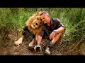 Lagu LION, LEOPARD and HYENA Reunite with Human | The Lion Whisperer
