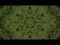 Download Lagu A tribal journey into a meditative state – Sound Healing Experience