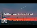 Neil Diamond - Sweet Caroline (Lyrics)