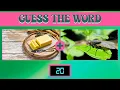 Guess the Compound Word Before the Timer Runs Out