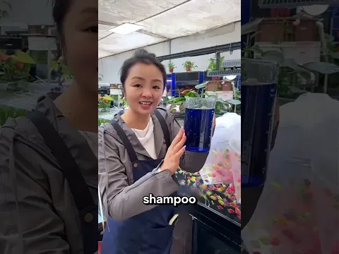 #bts