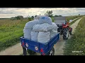 Download Lagu 🚜 Картоплекопалка попрацювала! Сезон картоплі в цьому році закрито. #bazotto 