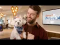 How to Budget and Still Spoil Your Pet Desert Financial
