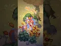 beginner tips