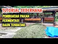 Download Lagu CARA MEMBUAT PAKAN FERMENTASI DAUN SINGKONG STOK PAKAN KAMBING