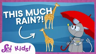 The Rainiest Places on Earth SciShow Kids