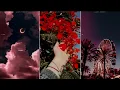 Download Lagu Aaj Dil Shayarana...❣️ Arijit Singh 🥀 WhatsApp Status 🌿 #shorts