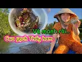 Download Lagu Đổ Lú Thu Hoạch Tôm Cua Bán Kiếm Tiền Mua Đồ Về Nhà Cúng Rằm Tháng 7 Vu Lan