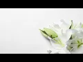 Funeral Mass for Ruth Kulas