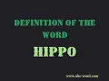 Definition of the word Hippo