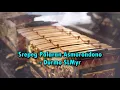 Download Lagu Srepeg Palaran Asmorondono - Durmo SLMyr