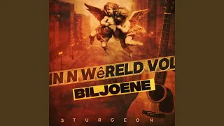 in n wereld vol biljoene acoustic version 