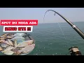 Download Lagu SPOT ANTI BONCOS MESKI CUACA JELEK ‼️ || BAGAN TANJUNG KAIT